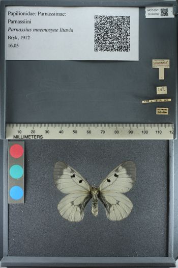 Media type: image;   Entomology 180000